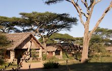 Ndutu Safari Lodge