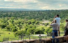 Tarangire Safari Lodge