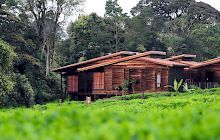 Nyungwe Forest Lodge